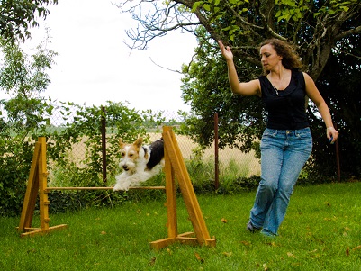 Aude Miard fondatrice d'animal et bien êtreanimal et bien être en train d'entrainer un chien