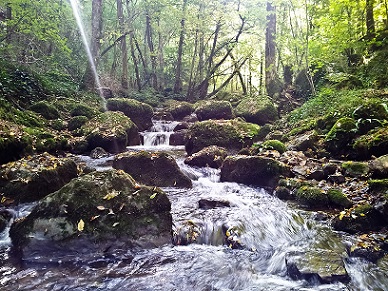 une petite source d'eau