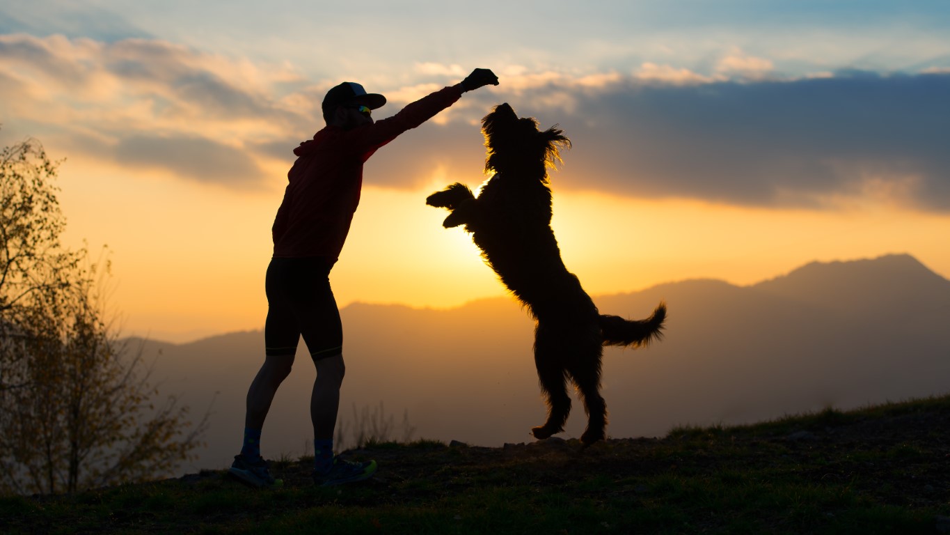 Un maître et son chien en plein exercice
