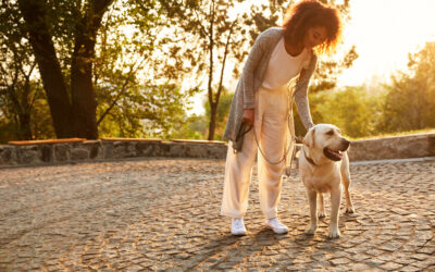 Comment calmer son chien en promenade ?