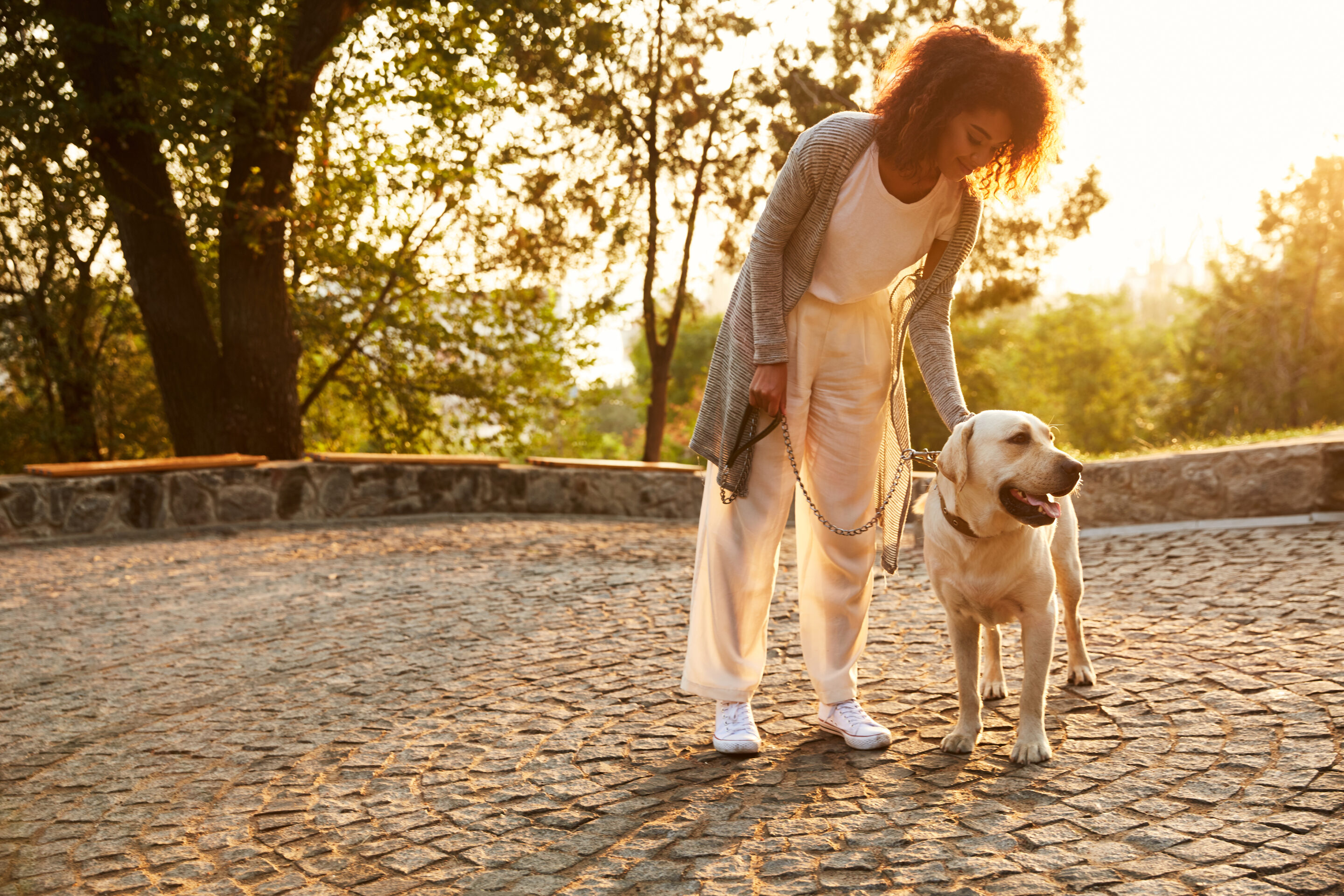 calmer son chien en promenade