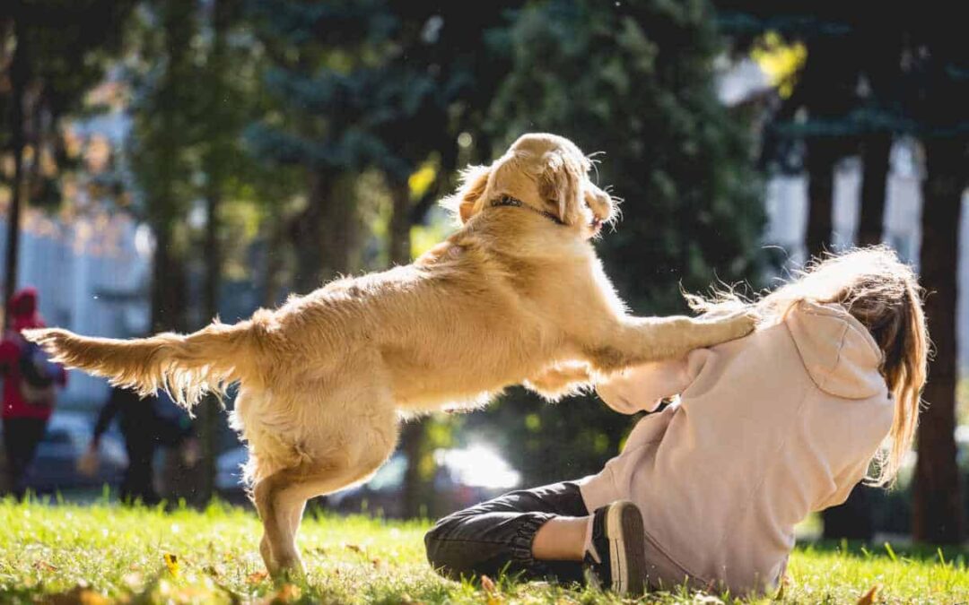 Mon chien fait l’idiot quand nous recevons des invités
