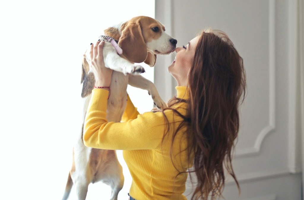 Comment faire pour que je puisse recevoir des amis avec leur chien chez moi et que cela se passe bien ?
