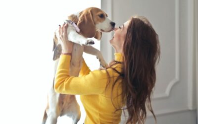 Comment faire pour que je puisse recevoir des amis avec leur chien chez moi et que cela se passe bien ?